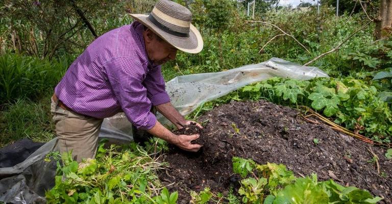 El Dane dice que la economía sigue creciendo