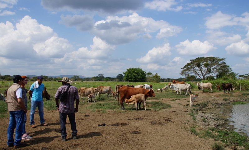 En Tierralta y Uré, la URT intervendrá nuevas zonas