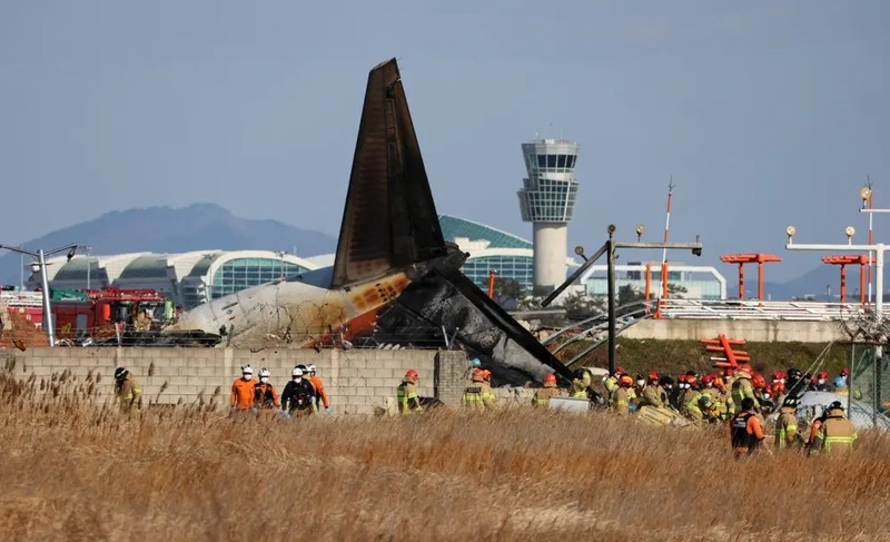 Tragedia en Corea del Sur: 179 fallecidos tras accidente aereo