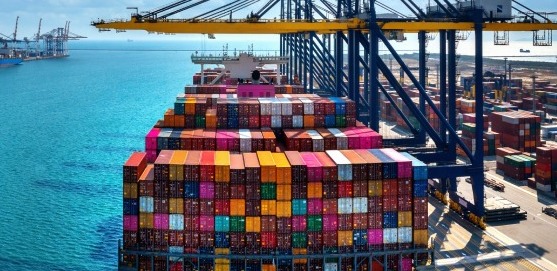 Resumen de exportaciones en noviembre de 2024