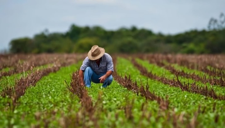 Precios al Productor estuvieron en un 7,33%