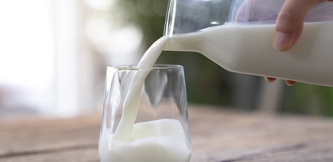Así se movió el negocio de la leche en noviembre de 2024