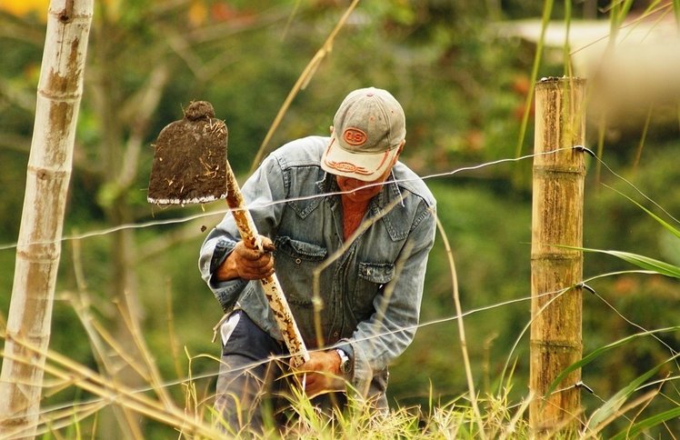 ONU advierte lentitud en reforma rural