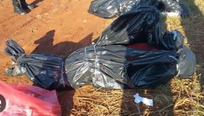 'Bajaron' 9 cuerpos a la morgue