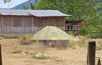 La violencia en el Catatumbo no se detiene: Van 68 muertos
