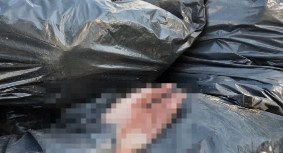 Ya fueron identificados  los 9 cadáveres