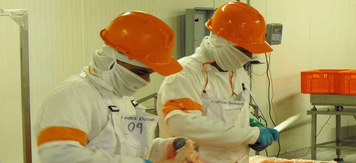 EE.UU. inspeccionará frigoríficos colombianos