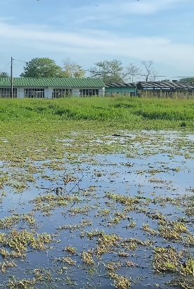 Preocupación por colegios inundados y deteriorados