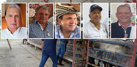 Ganado está paralizado, no hay quien haga guías de movilización en el ICA