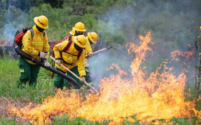Se han registrado 177 incendios forestales en lo que va del 2025