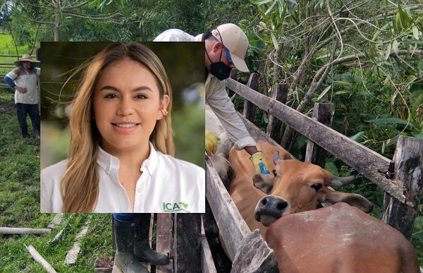 Guías se expiden, pero el personal apenas se está contratando