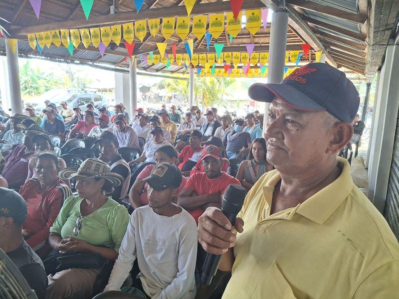 Destinan $28 mil millones para reforestación