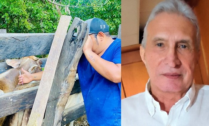 Sucre mantiene buenos resultados en la vacunación contra la aftosa
