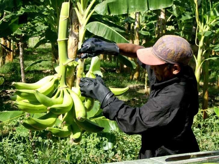 Cierre de Usaid impactará a Córdoba