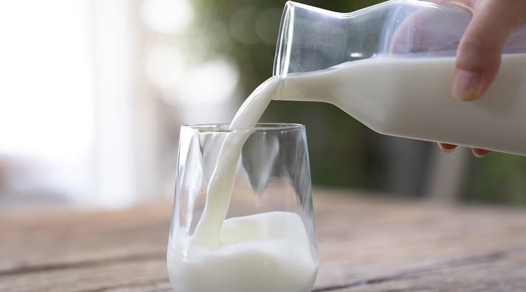 Precio de la leche terminó demasiado bajo
