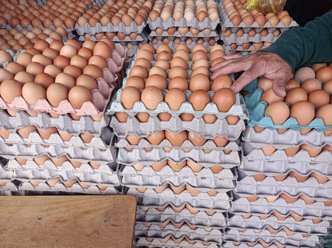 Huevos caros en EE.UU., oportunidad para Colombia