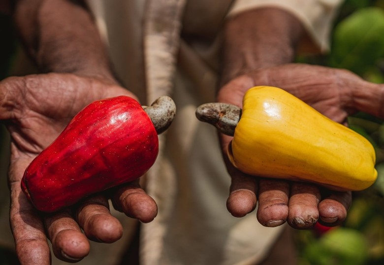 Ruta del Marañón, impacto positivo para el campesinado