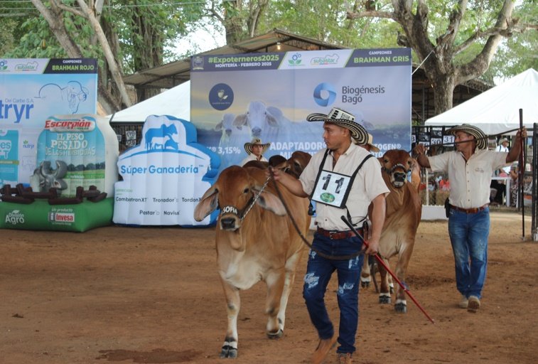 Se movió la economía ganadera en Expoterneros