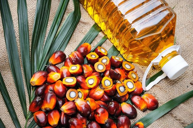 Quieren llevar el aceite de palma a más hogares