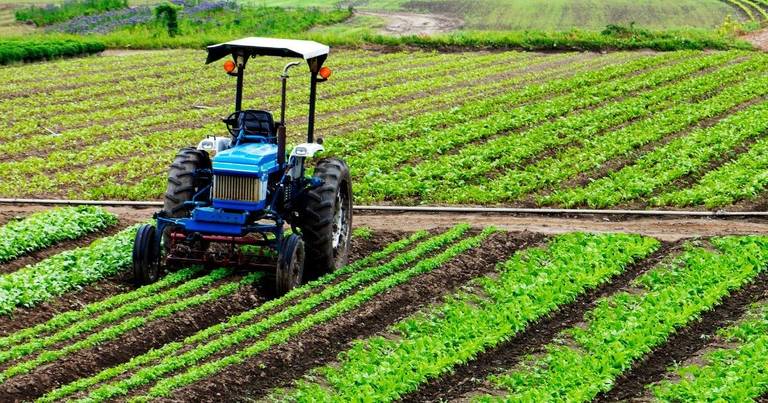 La agricultura sigue jalonando la economía