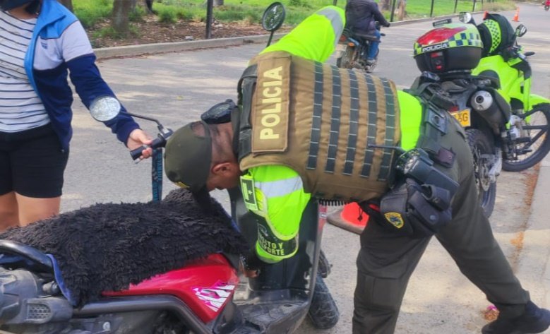 Policía Tránsito intensificará controles