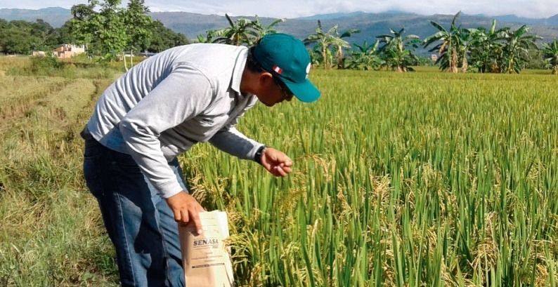 Gobernadores proponen crear Fondo de Estabilización
