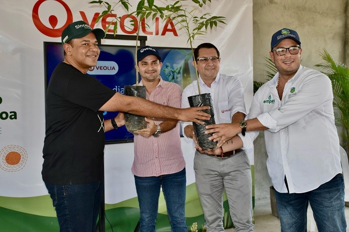 Veolia impulsa la reforestación con la siembra de 105 mil árboles para fortalecer el Acuífero de Morroa