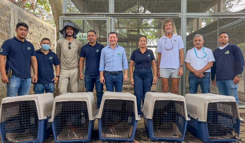 CVS y Aviario Nacional de Colombia unen esfuerzos para salvar al Paujil de Pico Azul de la extinción