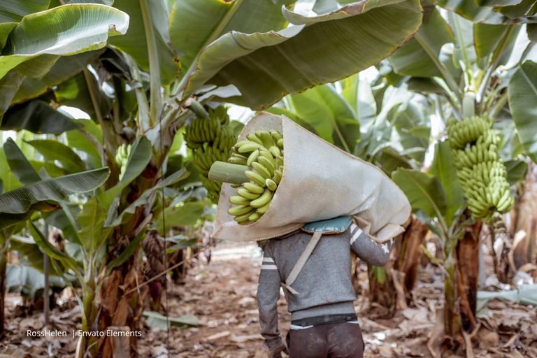 Caso Chiquita Brands en riesgo de vencer