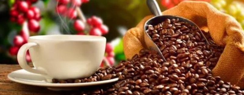 La producción nacional de café creció un 36%