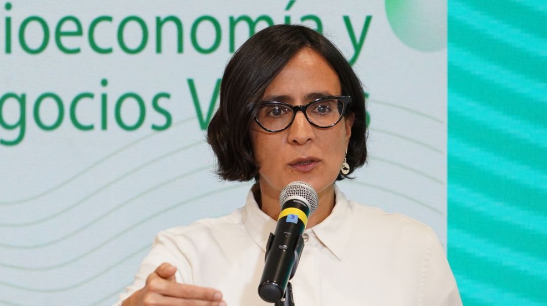 Susana Muhamad será la nueva directora de Planeación Nacional