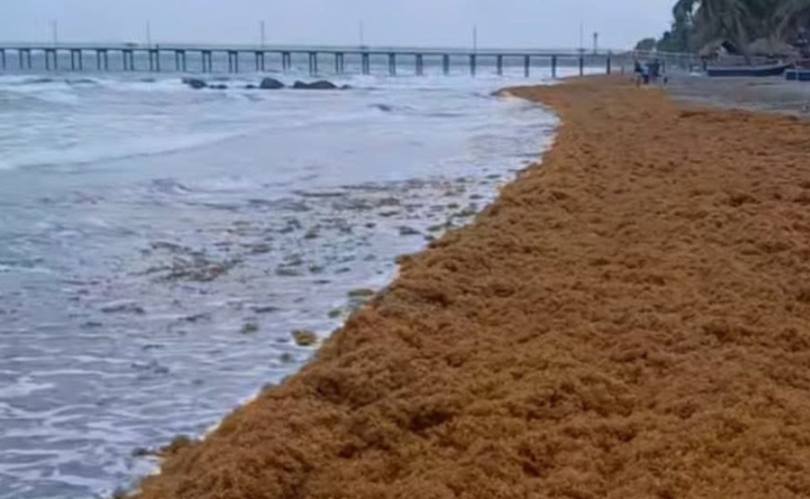 Lo de Moñitos es un fenómeno natural: CVS