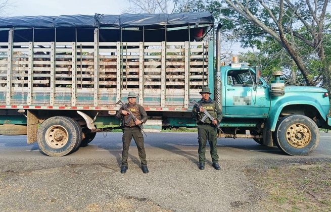 Carabineros incautan ganado en Sahagún