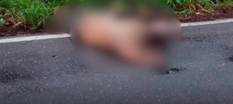 Madre e hijo, víctimas de homicidio en el municipio de La Apartada
