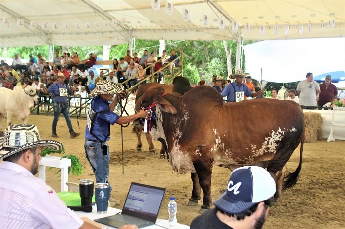 Feria Exposición Agropecuaria de Sincelejo 2025, con muchos atractivos