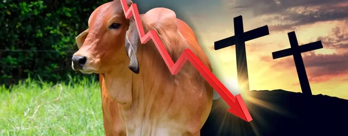 Así se adapta el sector ganadero a la Semana Santa