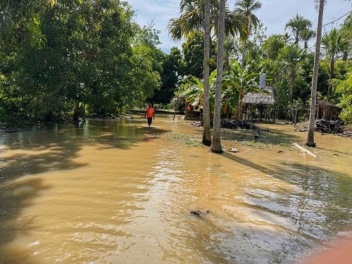En la Mojana le hacen frente a las nuevas inundaciones