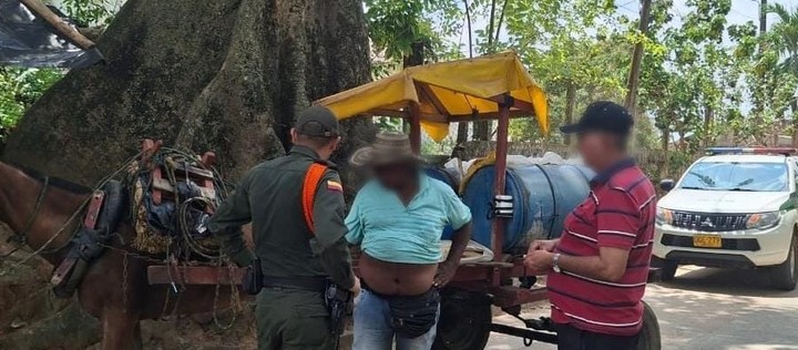 Grupo Carabineros realiza campañas para prevenir el maltrato de equinos