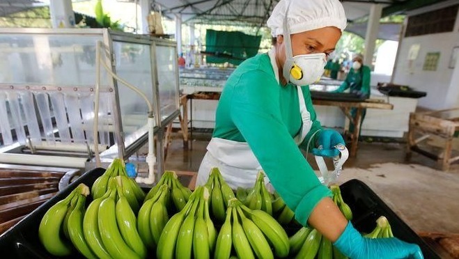 Agro colombiano rompió récord de exportaciones