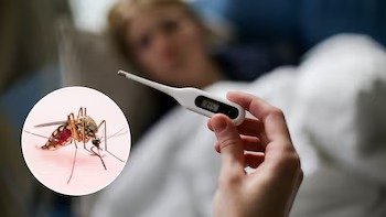 Primera víctima fatal por la fiebre amarilla en Cauca