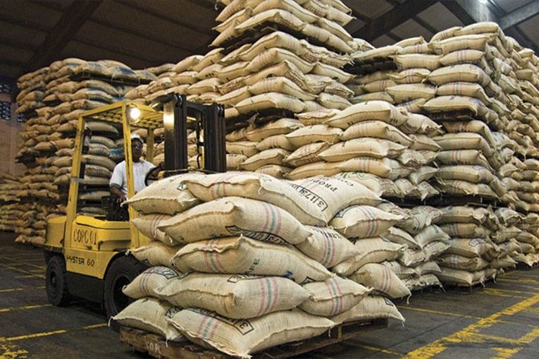Colombia busca superar cifras en producción de Café