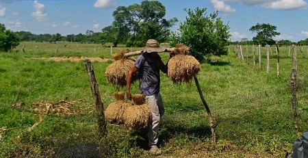 Denuncian que contratista de la 'Ruta del Arroz' no es idóneo
