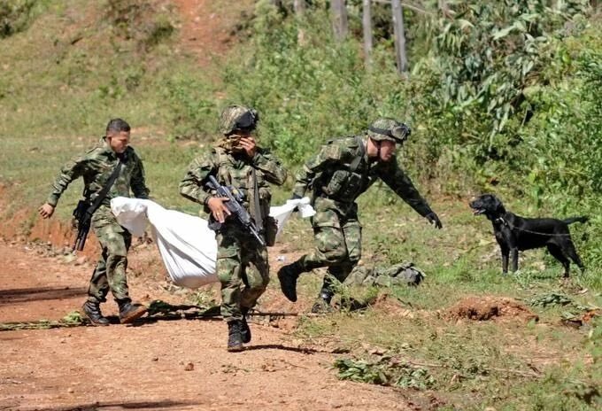 El Ejército lleva más de 800 sin hacer operaciones contra las disidencias