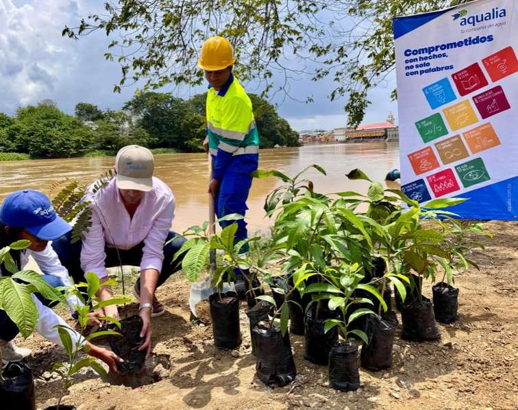 Aqualia se une al Día del Árbol con siembra de especies nativas en la ribera del Río Sinú
