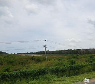 Consorcio está a la espera del traslado de las líneas eléctricas en el Aeropuerto de Tolú