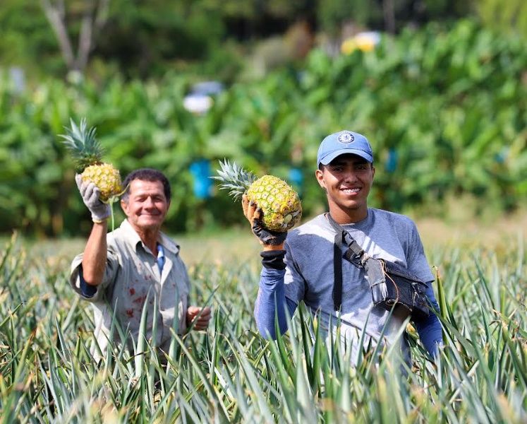 En abril, bajaron precios de frutas, tubérculos y carnes