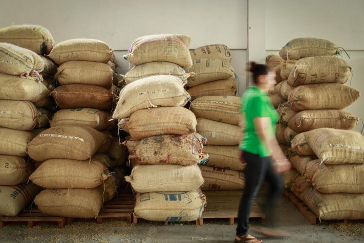 Buen panorama de exportaciones agropecuarias durante marzo