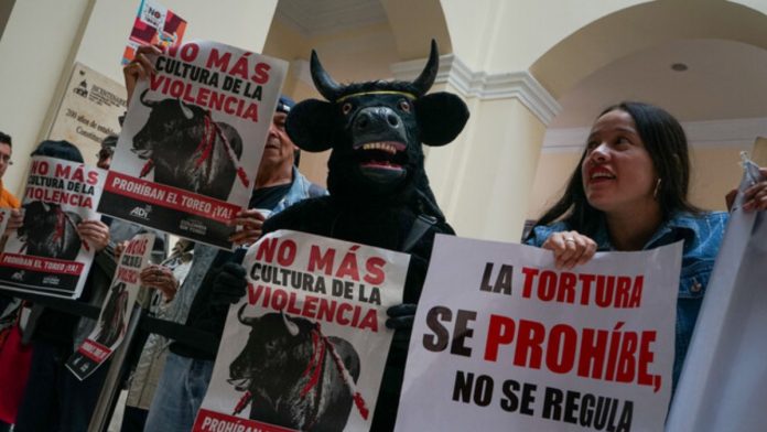 Procuraduría  dice “sí” a mantener ley que prohíbe corridas de toros