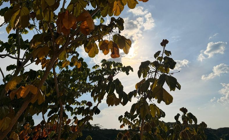 Alerta por altas temperaturas en Córdoba y la región Caribe