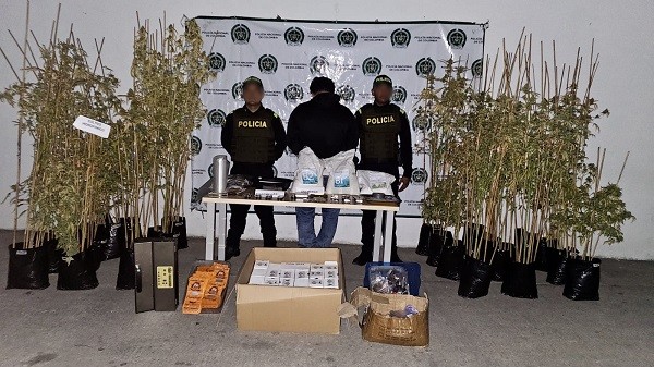 Tenía un 'vivero' de estupefacientes en su casa